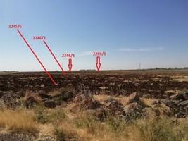 Şanlıurfa Viranşehir Yarpuz Mahallesi'nde 1 Dönüm İmarlı Arsa