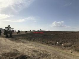 Samsun Havza Küflek Mahallesi'nde 18 Dönüm Tarla