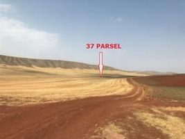 Çorum Sungurlu Yeşilova Mahallesi'nde 10600 m2 Tarla