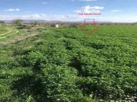 Denizli Çivril Akçaköy Mahallesi'nde 2017 m2 Tarla