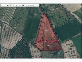 Denizli Honaz İlçesi'nde 3 Adet Bağ