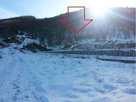 Kocaeli Karamürsel Tepeköy Mahallesi'nde 14 Dönüm Bağ