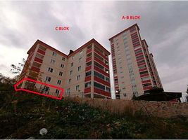 Ordu Fatsa Kurtuluş Mahallesi'nde 2+1 95 m2 Daire