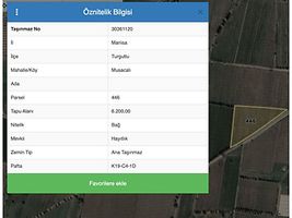 Manisa Turgutlu Musacalı Mahallesi'nde 6200 m2 Bağ