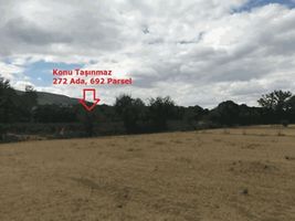 Tokat Pazar Fatih Mahallesi'nde 2838 m2 Tarla