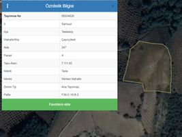 Samsun Tekkeköy Çayırçökek Mahallesi'nde 7111 m2 Tarla