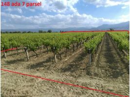 Manisa Alaşehir Gümüşçay Mahallesi'nde 4826 m2 Bağ