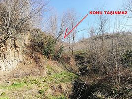 Samsun Ayvacık Eynel Mahallesi'nde 6067 m2 Fındık Bahçesi