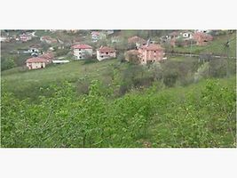 Samsun Ayvacık Yeniköy Mahallesi'nde 4.025 m2 Fındık Bahçesi