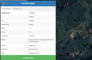 Trabzon Şalpazarı Pelitçik Köyü'nde Hisseli 2 Adet Kargir Ev ve Fındık Bahçesi