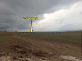 Afyon Dazkırı'da Yola Cepheli Tarla (1696)