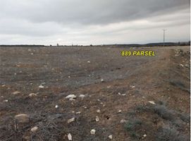 Afyonkarahisar Dazkırı'da 4 Dönüm Tarla (1698)