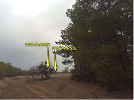 Afyon Dazkırı'da 2 Dönüm Tarla (1699)