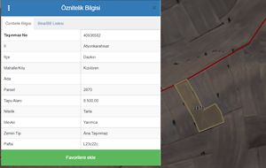 Afyonkarahisar Dazkırı Kızılören'de 8,5 Dönüm Tarla (1707)