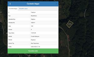 Trabzon Beşikdüzü Dağlıca'da Hisseli 492 m2 Fındık Bahçesi (AS-03031)