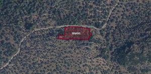 Muğla Milas Karahayıt'ta 1.710 m2 Zeytinlik