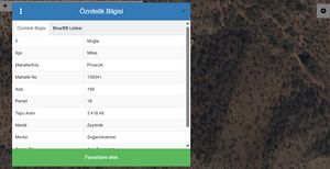Muğla Milas Pınarcık'ta 3 Dönüm Zeytinlik