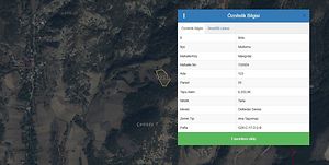 Bolu Mudurnu Mangırlar'da 6.253 m2 Tarla