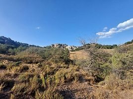 Muğla Yatağan Yava'da 19.852 m2 Tarla