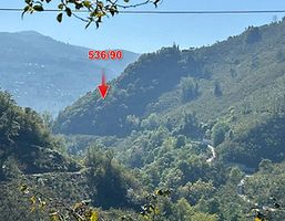 Ordu Ulubey'de Hisseli 7.396 m2 Çalılık