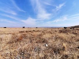 Kırıkkale Delice'de Hisseli 11.767 m2 Tarla