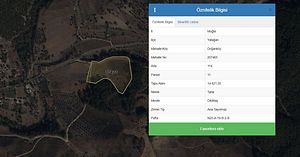 Muğla Yatağan Doğanköy'de 14.621 m2 Tarla