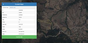 Lapseki Çataltepe'de Hisseli 9 Dönüm Tarla