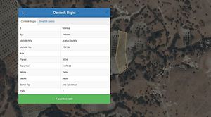 Akhisar Arabacıbozköy'de 2 Dönüm Tarla (1805)