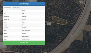 Bursa İznik'te Hisseli 413 m2 Tarla Ve Zeytinlik