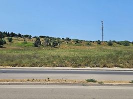 Bandırma Ayyıldız'da Yarı Hisseli 1.908 m2 Tarla