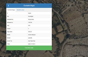 Aydın Bozdoğan Koyuncular'da Hisseli Zeytin Bahçesi (1795)