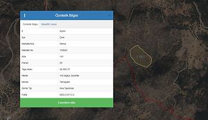 Aydın Çine Sarnıç'ta Hisseli 15 Dönüm Zeytinlik (1552)