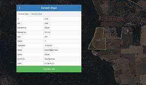 Urla Özbek’te Yatırım Potansiyelli 13.183 m2 Zeytin Ağaçlı Tarla