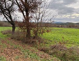 Çanakkale Yenice Engeci'de 6 Dönüm Tarla