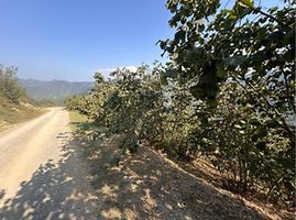 Samsun Ayvacık Gürçam'da 22 Dönüm Tarla(303910)