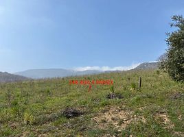 Manisa Kırkağaç Kocaiskan'da 34 Dönüm Tarla