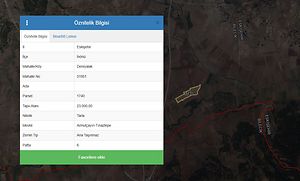 Eskişehir İnönü Dereyalak Mahallesi'nde Hisseli 17 Dönüm Tarla