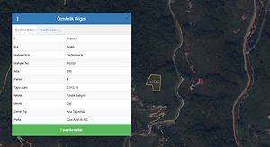 Trabzon Araklı Değirmencik'te 2 Dönüm Fındık Bahçesi