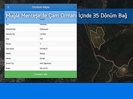Muğla Menteşe'de Çam Ormanı İçinde 35 Dönüm Bağ