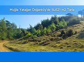 Muğla Yatağan Doğanköy'de 14.621 m2 Tarla
