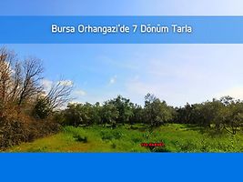 Bursa Orhangazi Üreğil Mahallesi'nde 7 Dönüm Tarla