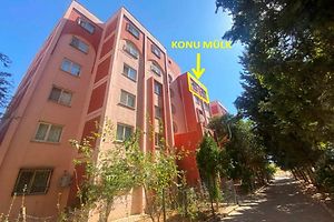 Eyyübiye Batıkent Mahallesi'nde 3+1 Daire