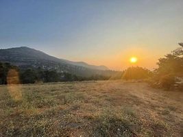 Uşak Sivaslı'da 10.787 m2 Tarla