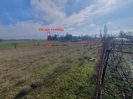 Uşak Sivaslı'da 2.050 m2 Bağ (AS-01310)
