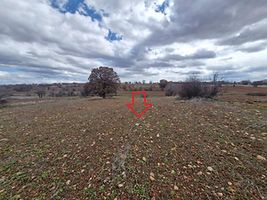 Uşak Karahallı Yeni Mahallesi'nde 1.984 m2 Tarla (AS-02265)