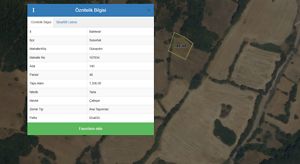 Susurluk Günaydın'da 1.206 m2 Tarla (AS-00996)
