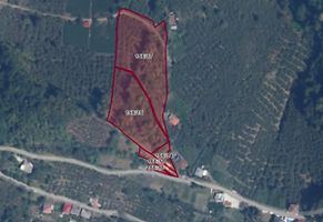 Vakfıkebir Küçükdere'de Hisseli 5 Adet Tarla (AS-02475)