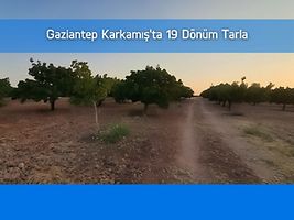 Gaziantep Karkamış'ta 19 Dönüm Tarla