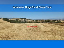 Kastamonu Alpagut'ta 16 Dönüm Tarla