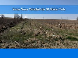 Konya Yunak Saray Mahallesi'nde 30 Dönüm Tarla